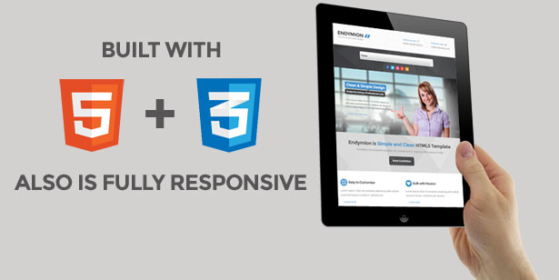 Endymion - Simple & Clean Corporate Template - 1