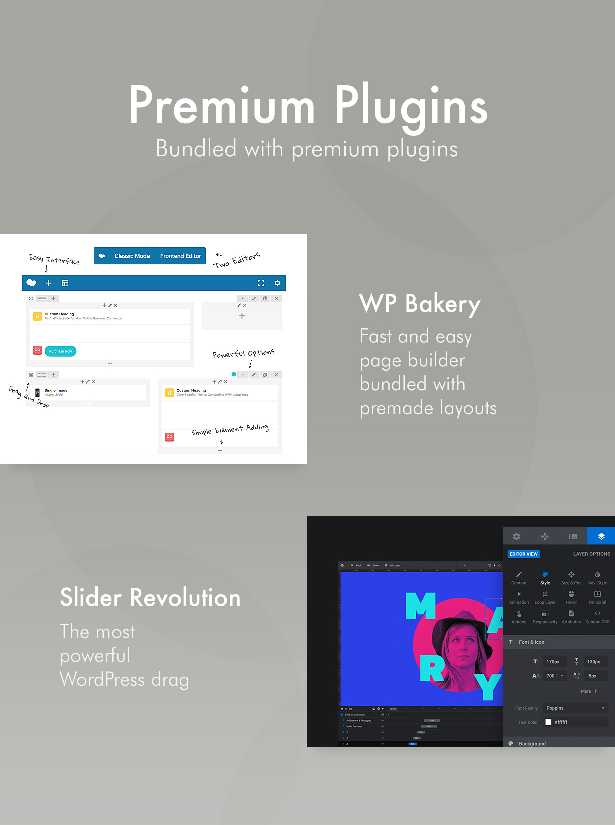 Plug-ins Premium