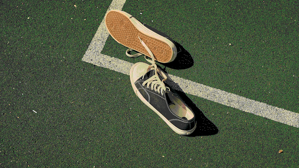 Paper Transitions | Big Pack - 81