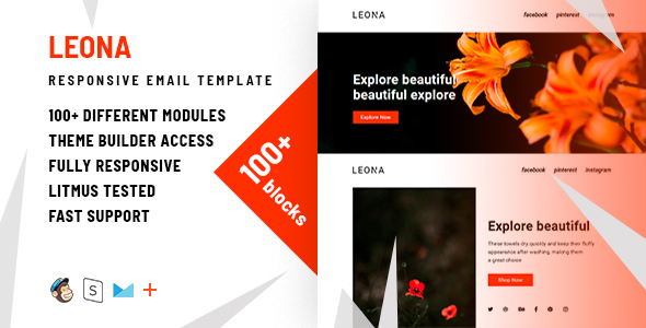 Carol – 100+  Responsive Modules + StampReady, MailChimp & CampaignMonitor compatible files - 2
