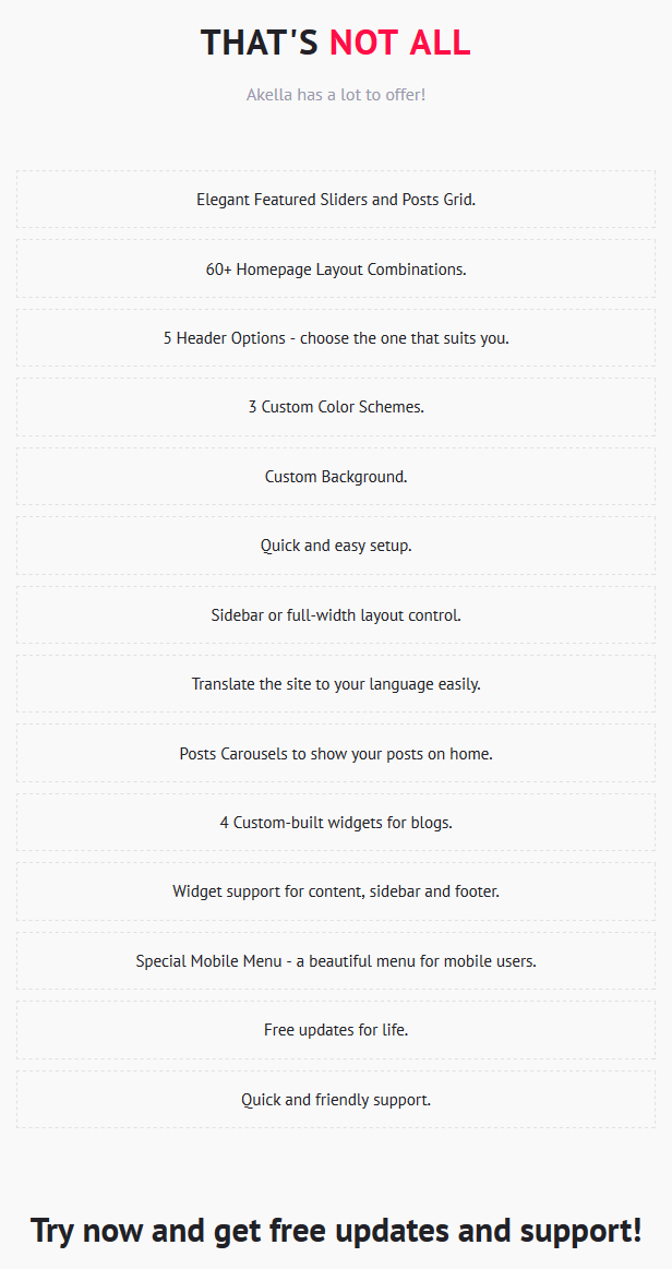 Akella - Personal Blog & Magazine WordPress Theme - 9