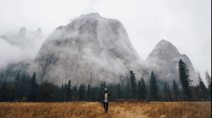 Montage Library - Most Useful Effects - 13