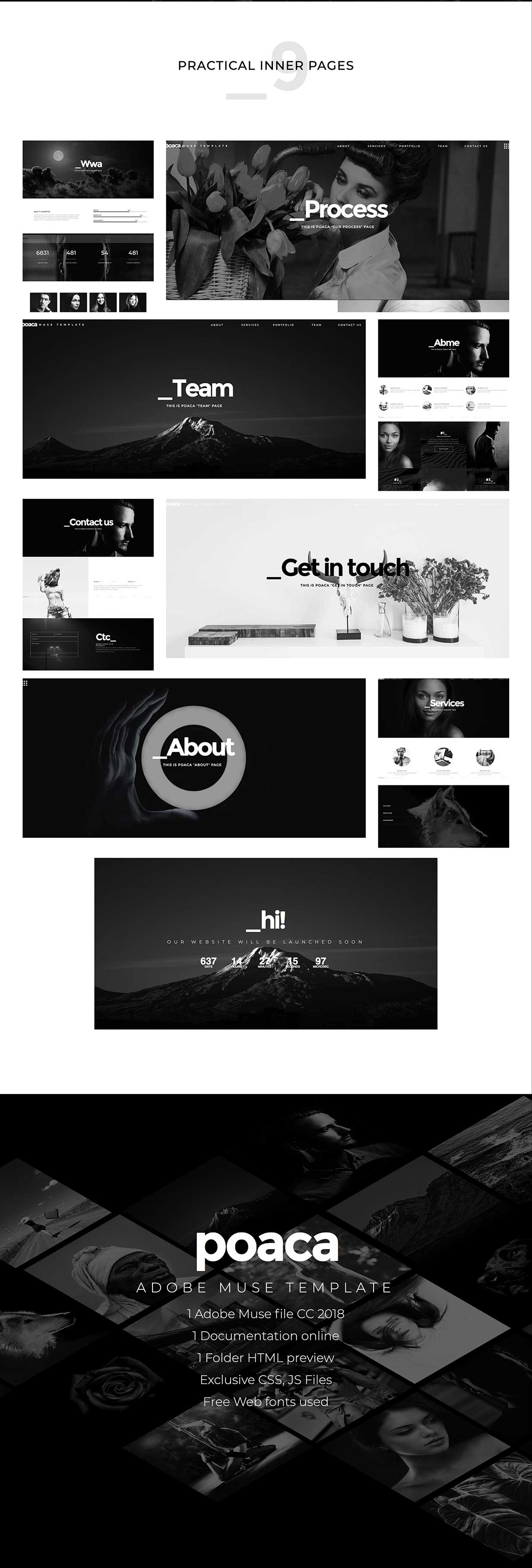 Poaca Muse Template - 3