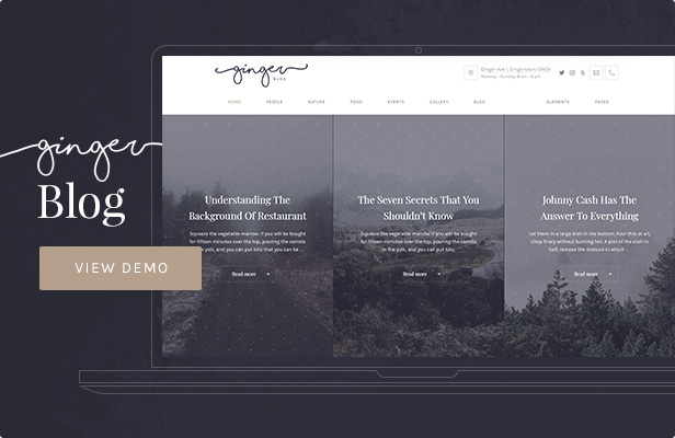 Ginger — Blog/Magazine WordPress Theme