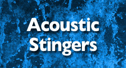 Acoustic Folk Stinger - 1