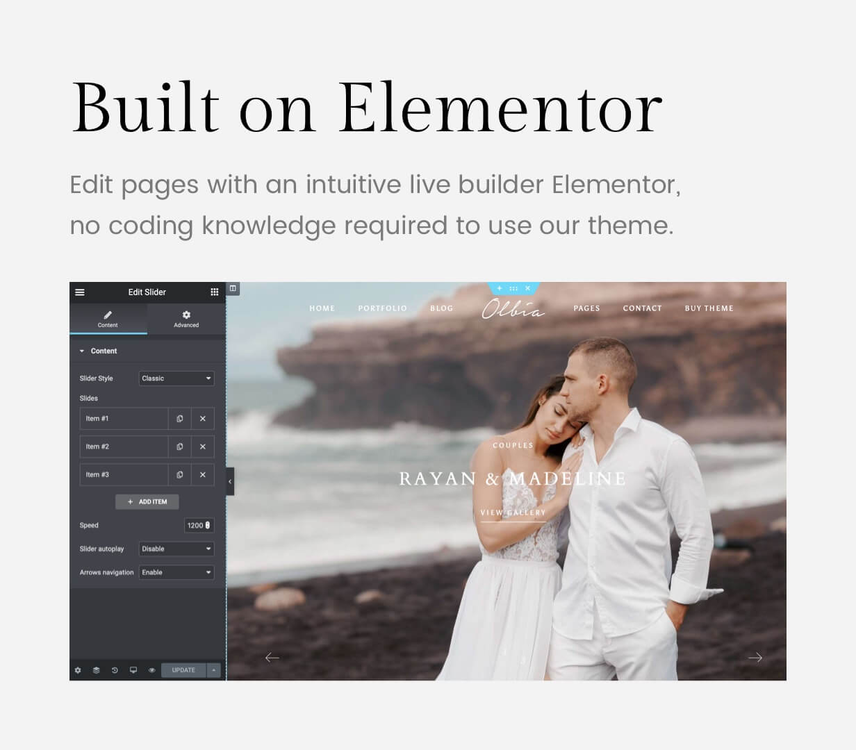 Olbia - Elegant WordPress Theme for Photographers - 2