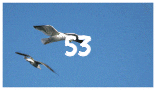 Brush Transitions - 53