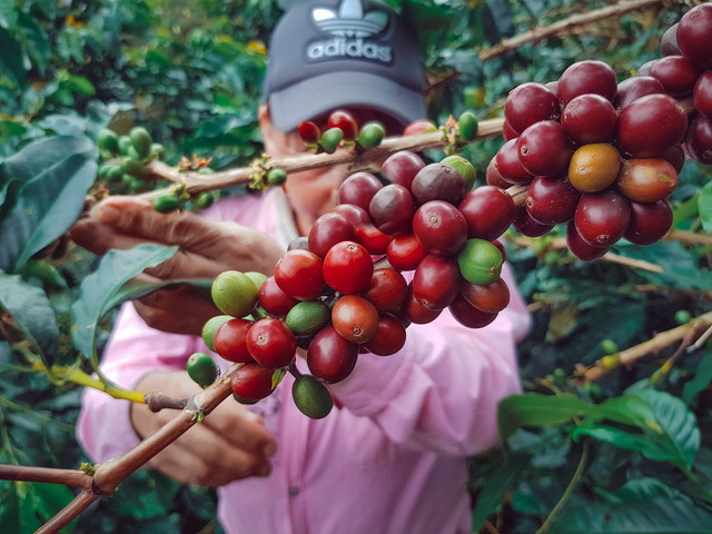 20210413-095008-Edit