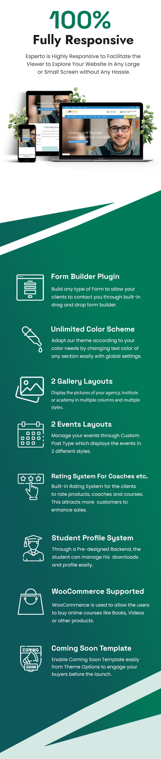 Esperto - Consulting, Coaching and Education WordPress Theme - 2