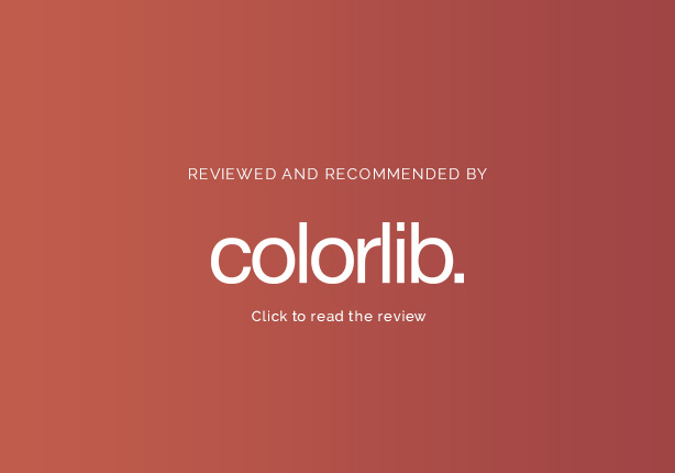 Infinite - Corporate Business WordPress - 11