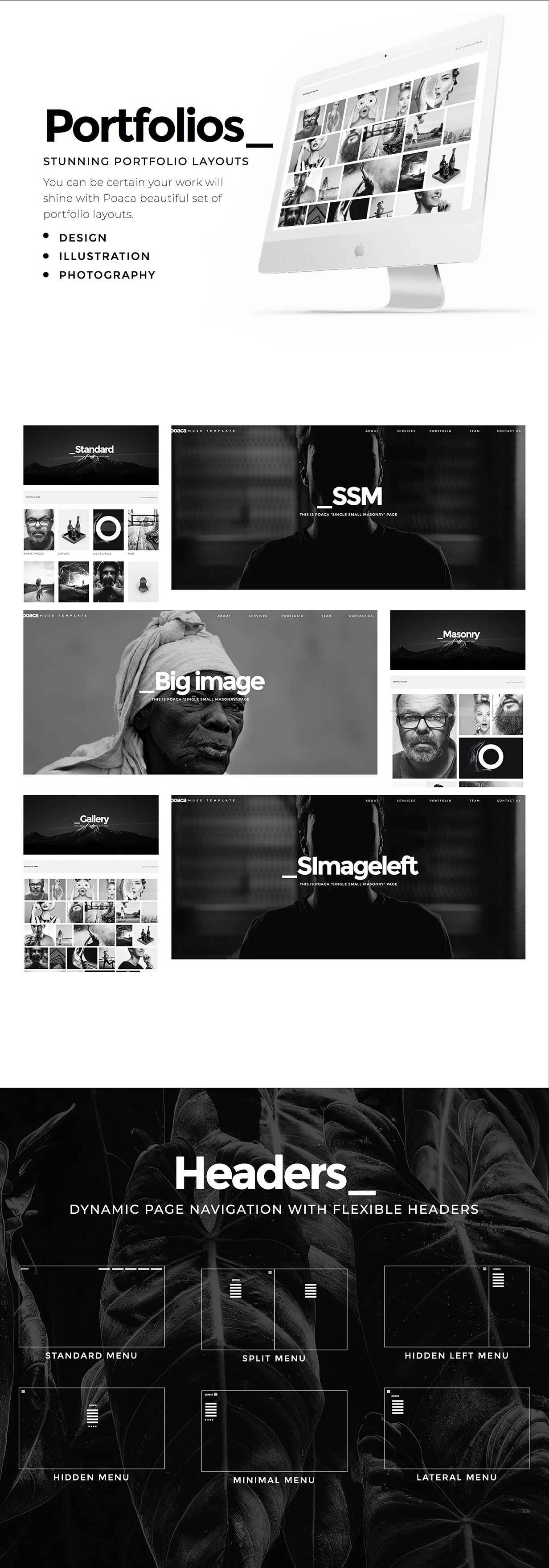 Poaca Muse Template - 2