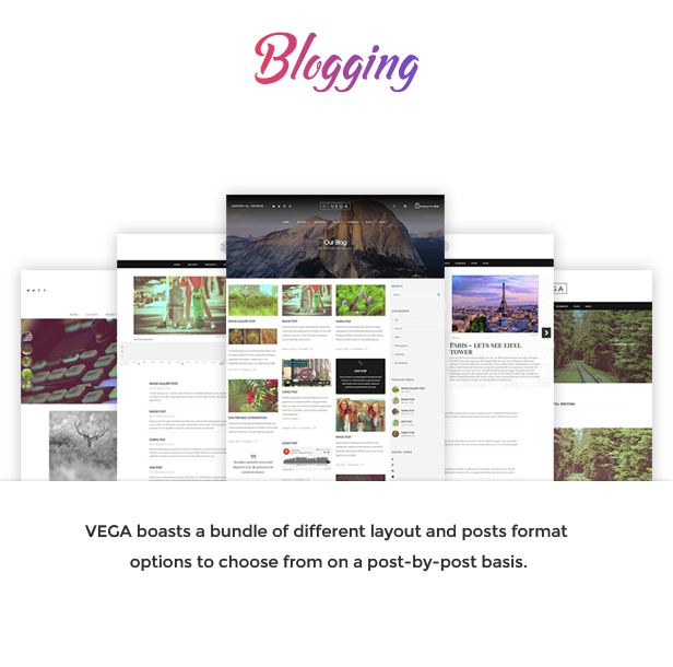 Vega Html5 Responsive Template Generator