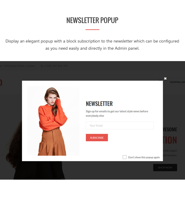 des_08_newsletter_popup