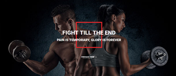 Absolute Fitness - Fitness Multipurpose WordPress Theme - 1
