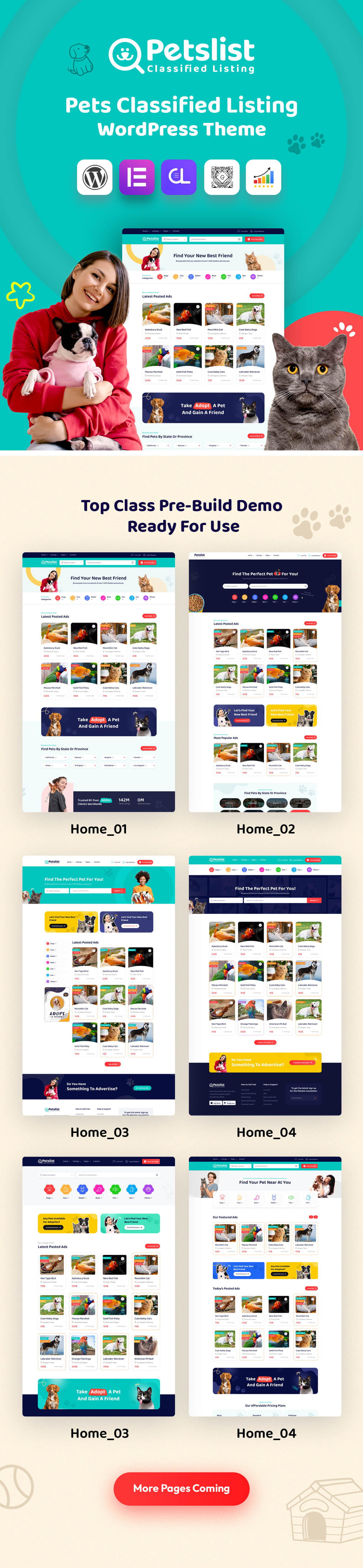 Classified WordPress Theme