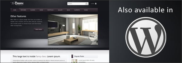 theDawn WP version