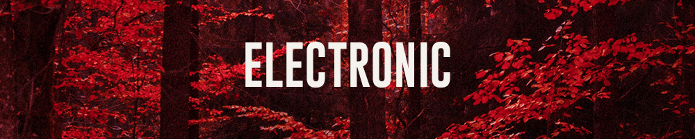 Electronic