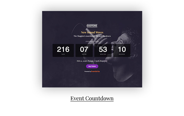 Music & Band Responsive Website Template - Duotone - 4