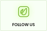 Follow US