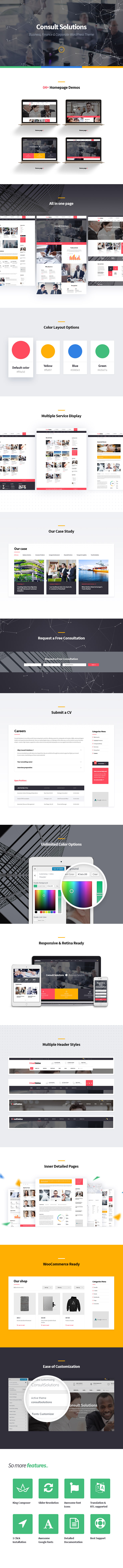 WordPress Theme