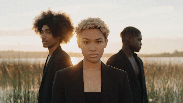 Paper Transitions | Big Pack - 77