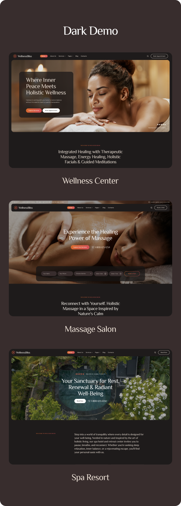 Tema WordPress SPA