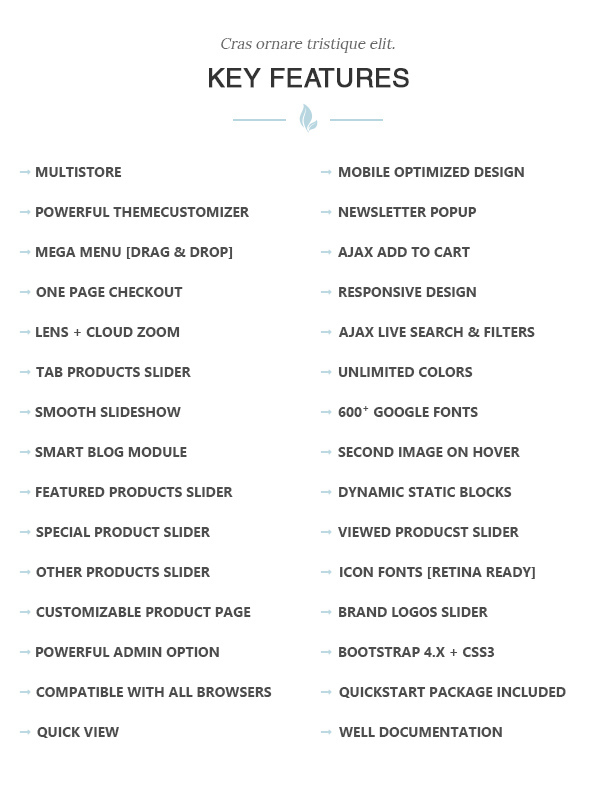 des_03_key_features