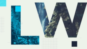 Video Library - Video Presets Package - 34