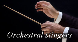Orchestral Logos and Stinger