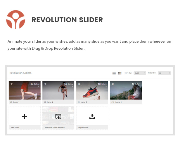 des_07_revolution_slider