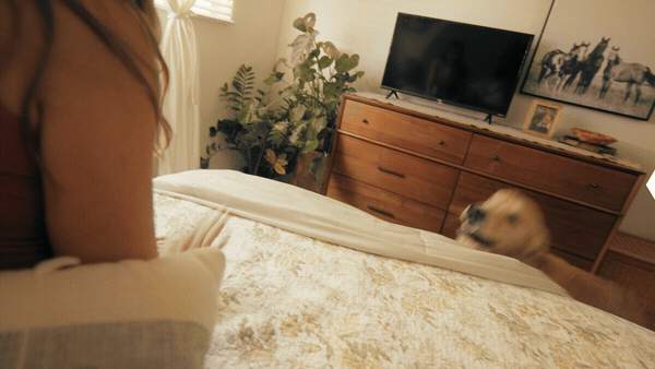 Premium Overlays Flashbacks - 13
