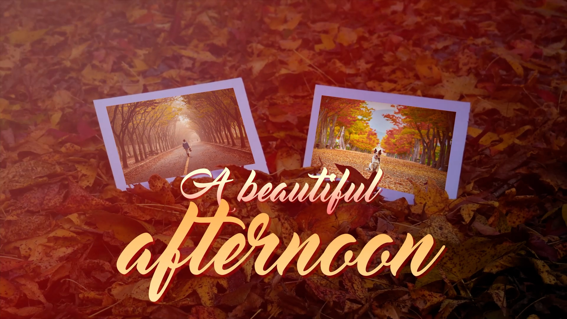 Autumn Slideshow Memories - 1