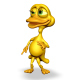  photo Duck_A_zpssn0lhl0f.jpg