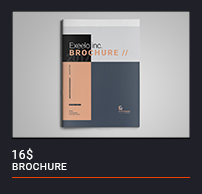 Brochure - 43
