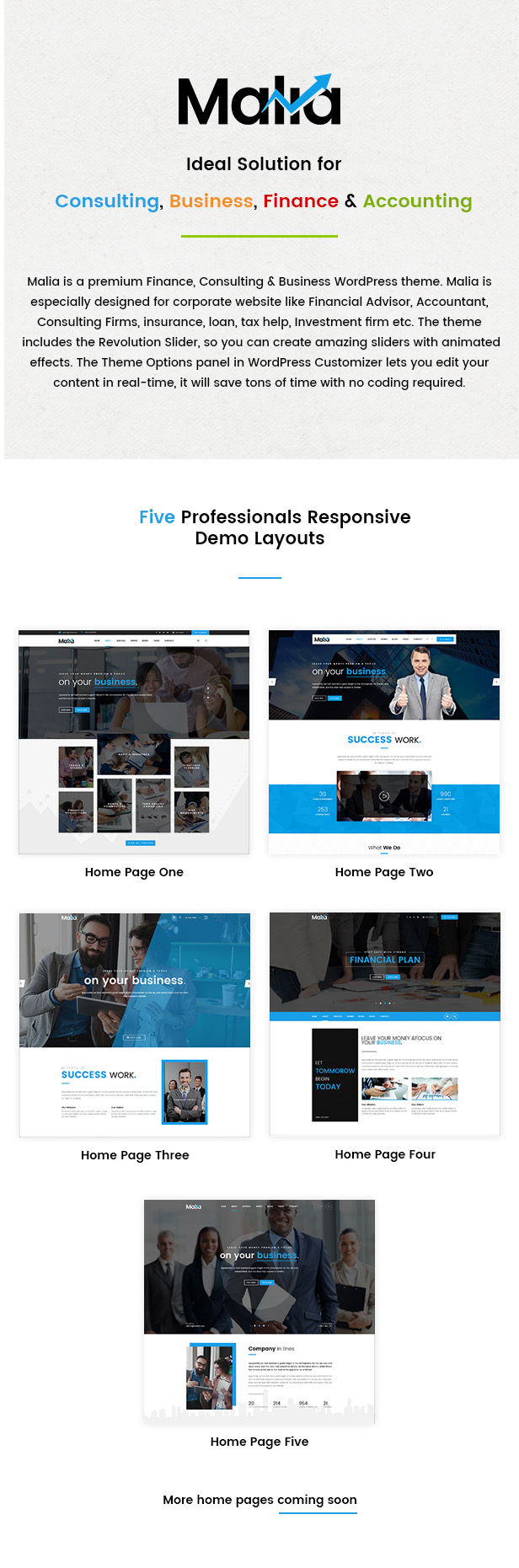 Malia  - A Powerful Business and Finance WordPress Theme - 2