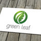 Green Leaf Logo - GraphicRiver Item for Sale