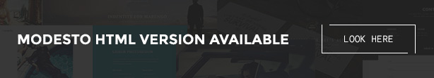 Modesto - Unique Portfolio & Agency Template - 1