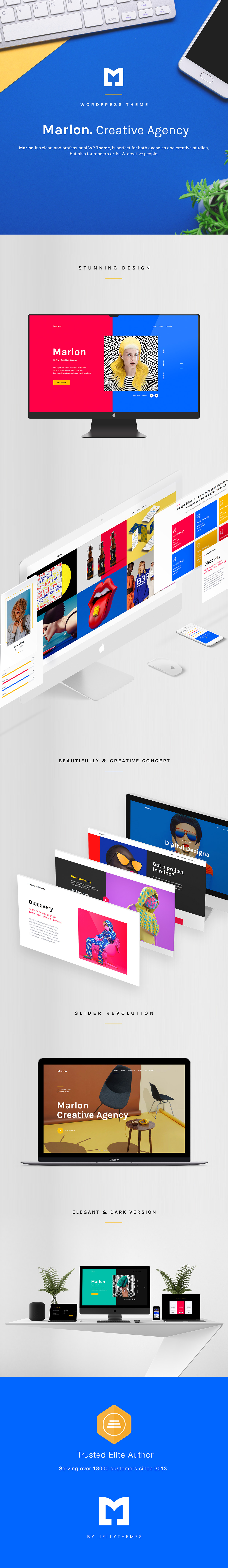 Marlon - Agency & Portfolio WordPress Theme - 1