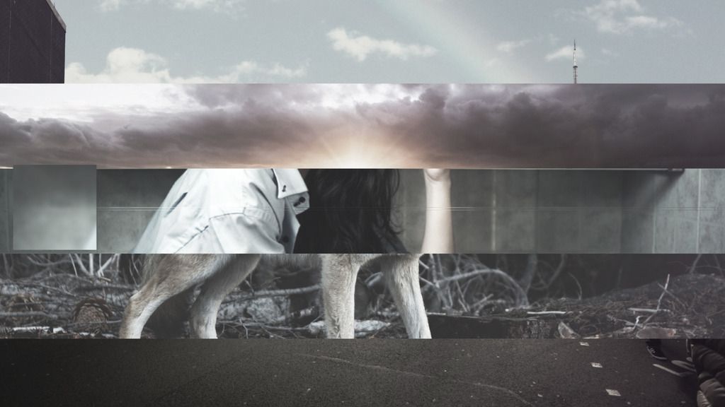 2/3D Photo Slideshow Bundle - 9