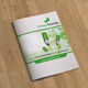 Green Energy Business Brochure-V87