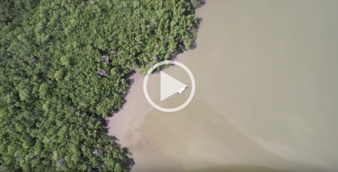 uplifting and inspiring corporate