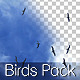 Birds Pack