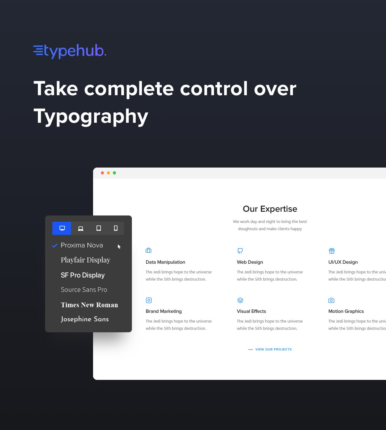 Typography Controls