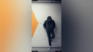 Video Library - Video Presets Package - 78