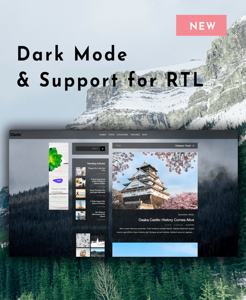 Woocommerce Themes