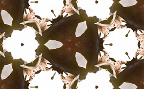 Animated Kaleidoscope