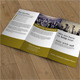 Trifold Brochure- Business