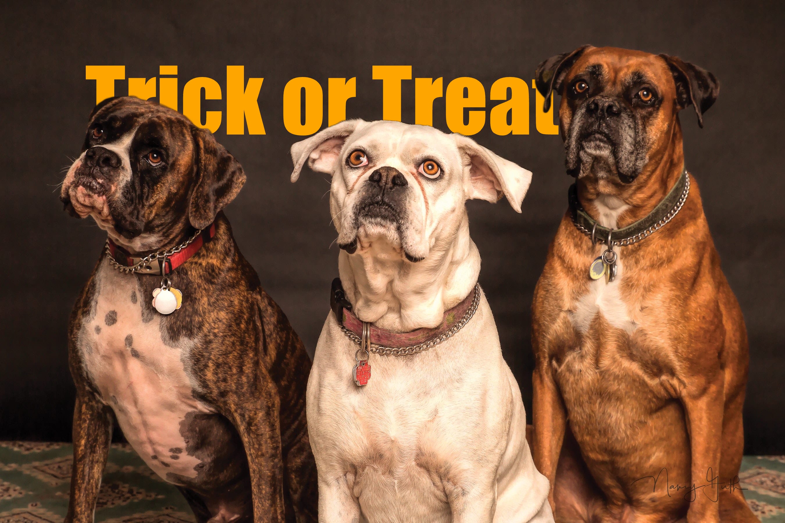 TextBehind SaaS Thumbnail