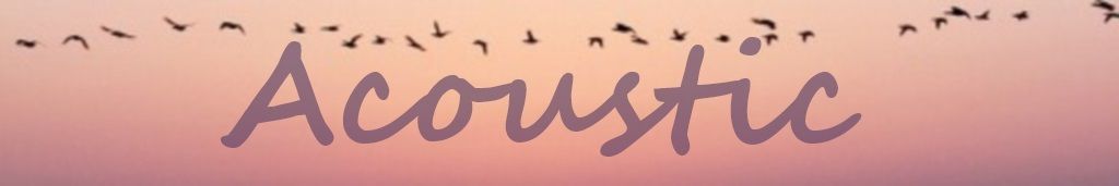 Drive Energy Sport - 14