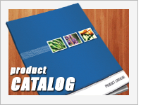 product catalog template